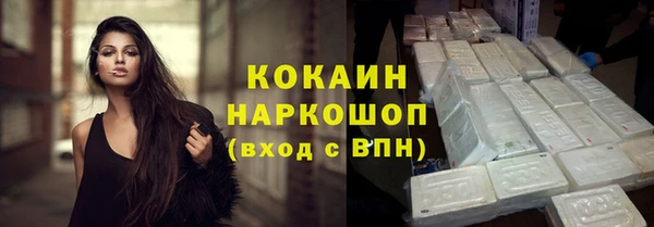 стаф Аркадак