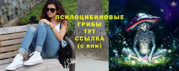 стаф Аркадак