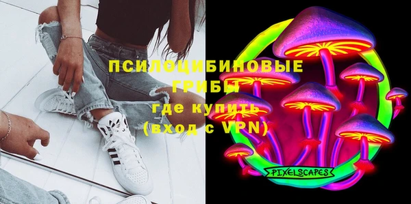 дживик Арсеньев