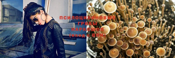 стаф Аркадак