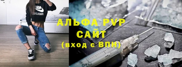 стаф Аркадак