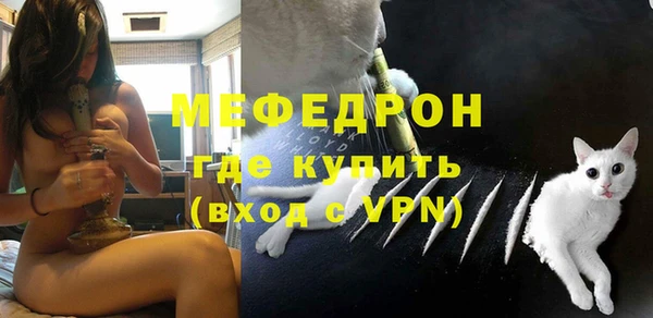 стаф Аркадак