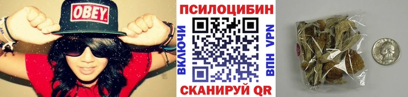 Купить где  Можга  Галлюциногенные грибы прущие грибы 